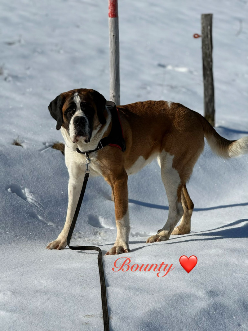 Bounty vom Bruderloch